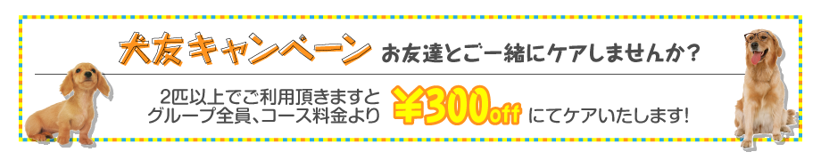 オーシーペットモービル名古屋では犬友キャンペーンを実施中！お友達と一緒にケアしませんか？２匹以上でご利用頂きますと、グループ全員、コース料金より300円オフでケアいたします！