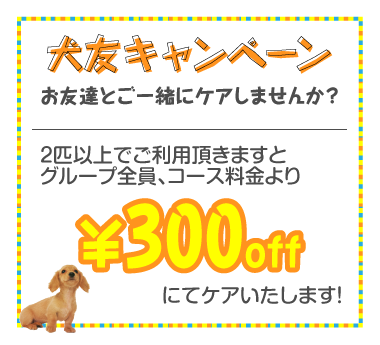 オーシーペットモービル名古屋では犬友キャンペーンを実施中！お友達と一緒にケアしませんか？２匹以上でご利用頂きますと、グループ全員、コース料金より300円オフでケアいたします！